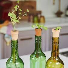 Bottle Top Herb Planter
