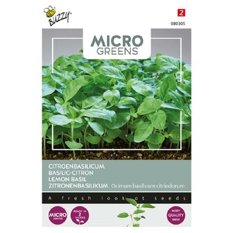 Buzzy Microgreens, Citroenbasilicum