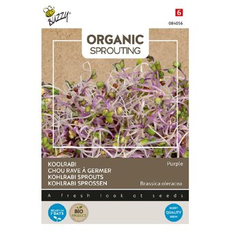 Buzzy Organic Sprouting Koolrabi blauwpaars (BIO)