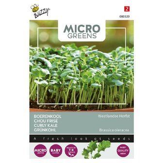 Buzzy Microgreens, Boerenkool Westlandse Herfst