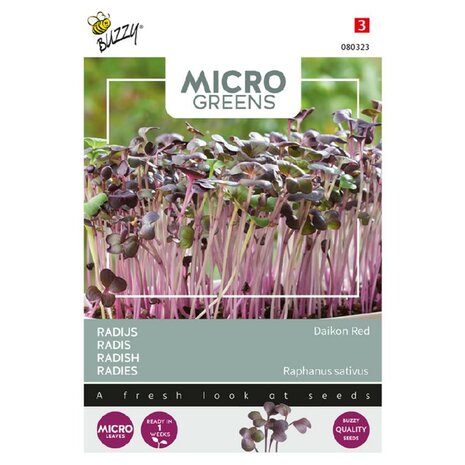 Buzzy Microgreens, Radijs Rode Daikon