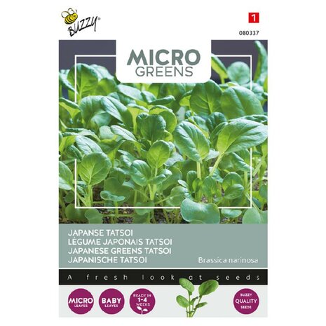 Buzzy Microgreens, Tatsoi