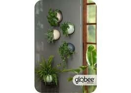 Globee