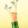 Bottle Top Herb Planter