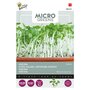 Buzzy Microgreens, Mizuna Green