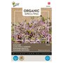 Buzzy Organic Sprouting Koolrabi blauwpaars (BIO)